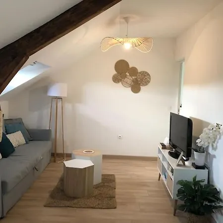 Apartment Chez Gustave T2, 4 Min Place Ducale *